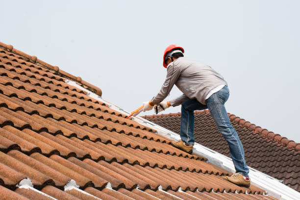 Best Roof Maintenance and Cleaning  in Montevideo, MN